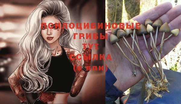 хмурый Балабаново