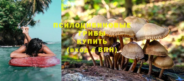 трава Слюдянка