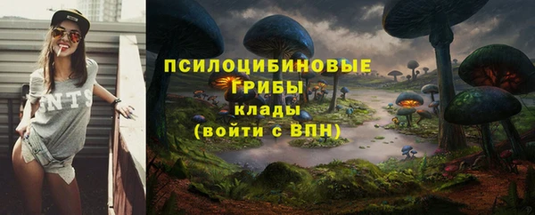 хмурый Балабаново
