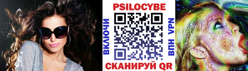как найти наркотики  Лаишево  Псилоцибиновые грибы мухоморы 